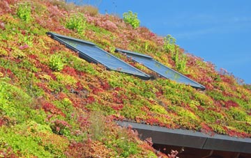 Trowbridge living roof systems
